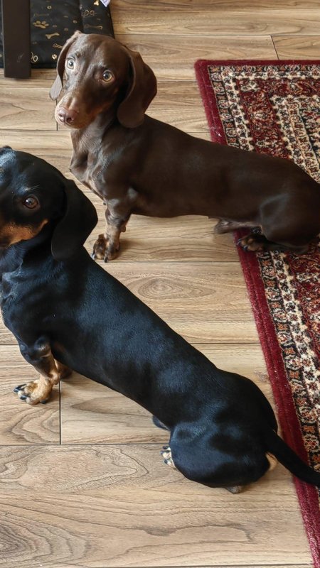 How am I supposed to interpret that look? haha